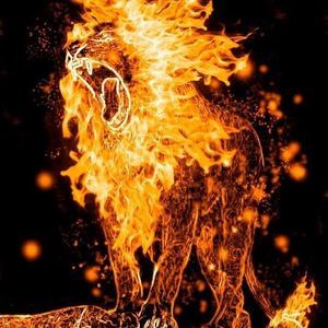 Meet your Posher, Cornell